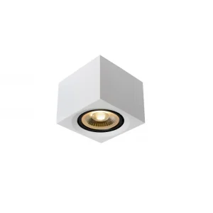Griestu lampa FEDLER