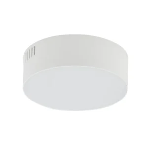Griestu lampa 10411 LID ROUND LED 15W 4000K WHITE