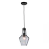 Piekaramā lampa 17054 PENDANT 1L