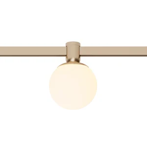 Z4055-5.OP.30.BR "GLOW" 5W OPAL BALL BRASS 48V for magnetic system LUMA Gaismas ķermenis