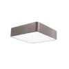 Griestu lampa RAGU BR