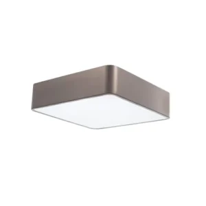 Griestu lampa RAGU BR