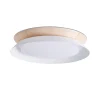 Griestu lampa TENDER LED White