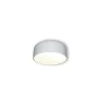 Griestu lampa POT WH 31 cm
