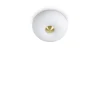 Griestu lampa ARIZONA Ø 30 cm