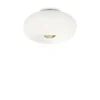 Griestu lampa ARIZONA Ø 40 cm