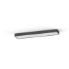 Griestu lampa 7531 SOFT CEILING LED GRAPHITE 90X20