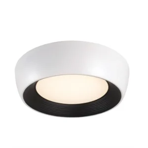 Griestu lampa WHOOLE C50 WH
