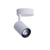 Griestu lampa IRIS LED WH