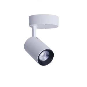 Griestu lampa IRIS LED WH