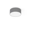 Griestu lampa 9687 CAMERON GRAY II