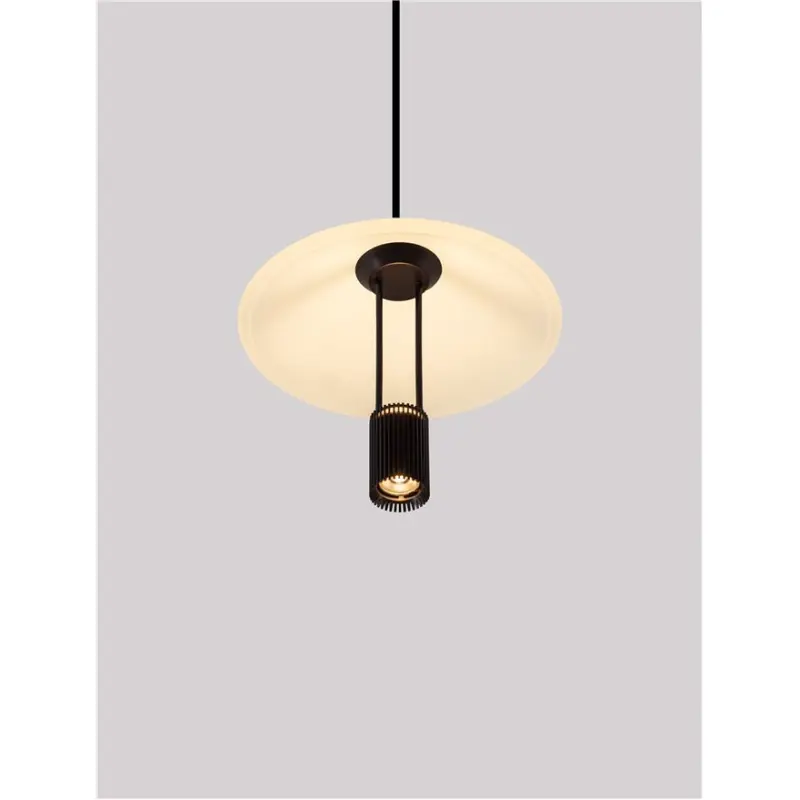 Piekaramā lampa 9695275 ANAFI